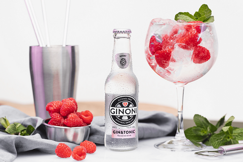 Ginoni - Soft-Drink Berry - ohne Alkohol - 4 x 20 cl