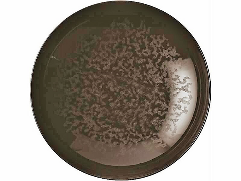 Arthur Krupp - Pasta-Suppen Teller Eclipse Night - 22 cm - 4 Stück Schwarz